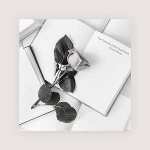 艹草b啪啪啪视频
